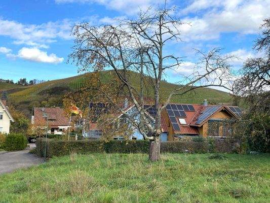 Blick auf die Weinberge