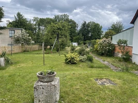 Blick in den Garten