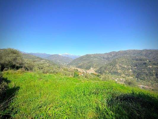 DA1003_02_TERRA ITALIA IMMOBILIEN_REAL ESTATE_LAND