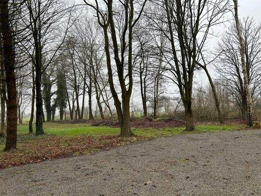 Teil des Baumbestands