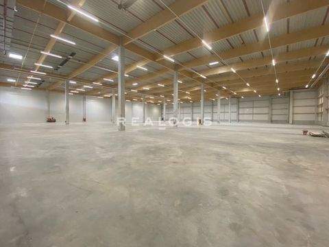 Gelsenkirchen Halle, Gelsenkirchen Hallenfläche