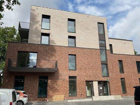 Schöppingen Wohnungen, Schöppingen Wohnung mieten