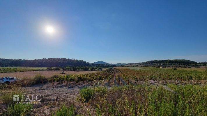Baugrundstueck Porreres mit Weinberg 