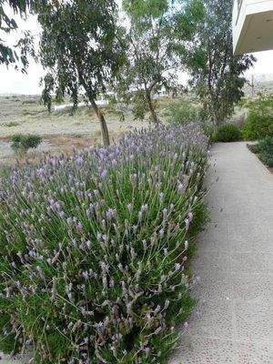 Südostkreta, Lagkada: Schöne Villa mit Meerblick zu verkaufen