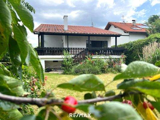 Gartenansicht unterm Kirschbaum...