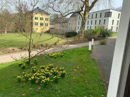 Aussicht aus dem 1. Büro.jpg