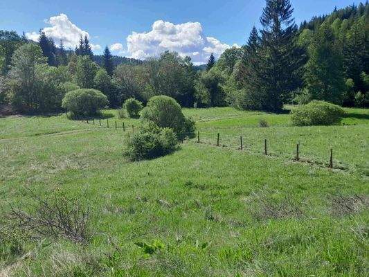 Anwesen Bosnien Snjezana - 5