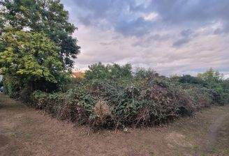 Grundstücke MA-Seckenheim