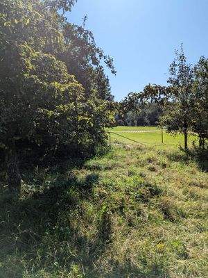 Unverbaubare Aussicht