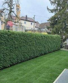 698da209-1190-4e00-884f-2a0325ba7128