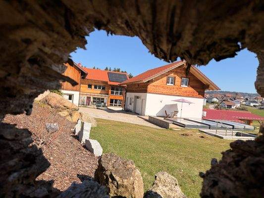 2 Detail Deko am Sacherl 5.JPG