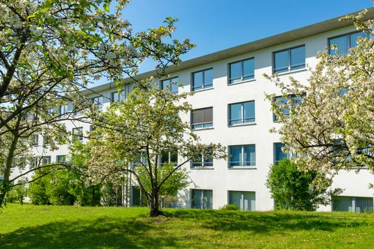 "MUSTER" Beispielbild