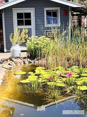 Ihr Gartenhaus mit vielen individuellen Nutzungsmöglichkeiten