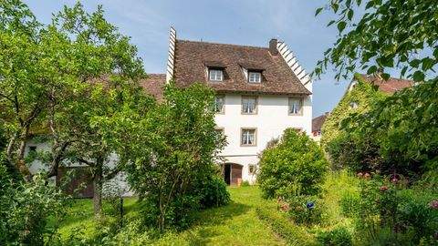 Tengen Häuser, Tengen Haus kaufen