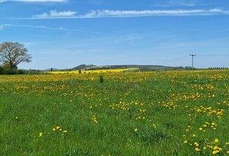 thumbnail_20250429_140137