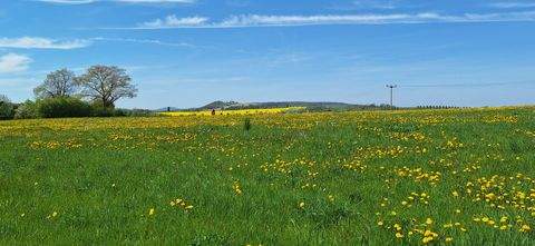 Barchfeld-Immelborn Grundstücke, Barchfeld-Immelborn Grundstück kaufen