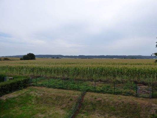 Ausblick  Obergeschoss Whg. Nr. 03