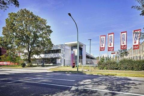 Potsdam Halle, Potsdam Hallenfläche