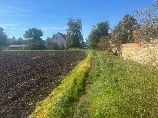 Feld hinter dem Grundstück