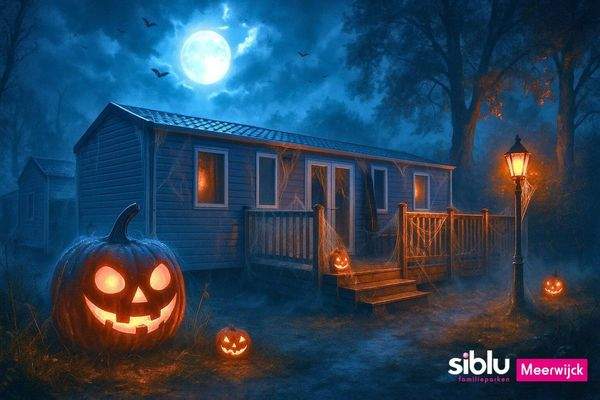 Ferienhaus Kaufen Friesland17