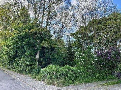 Munster Grundstücke, Munster Grundstück kaufen