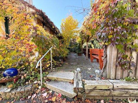 Garten im hinteren Bereich