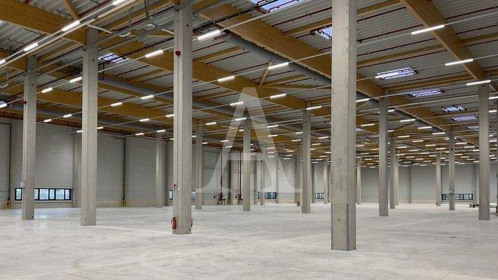 Lagerfläche Düsseldorf