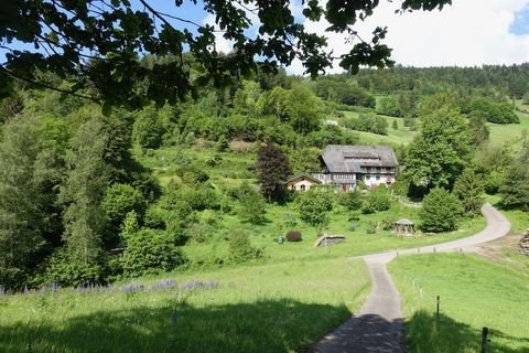 Zell im Wiesental Renditeobjekte, Mehrfamilienhäuser, Geschäftshäuser, Kapitalanlage