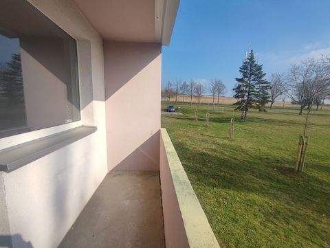 Sangerhausen Wohnungen, Sangerhausen Wohnung mieten