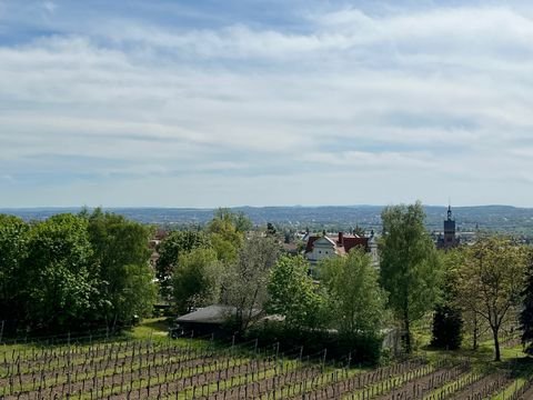 Radebeul Wohnungen, Radebeul Wohnung kaufen