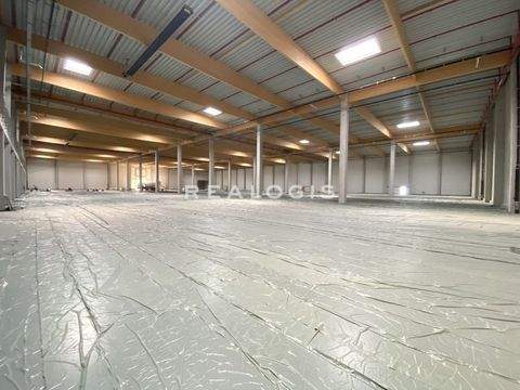 Dortmund Halle, Dortmund Hallenfläche