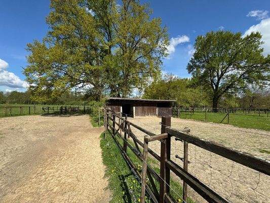 Paddocks für Pferde