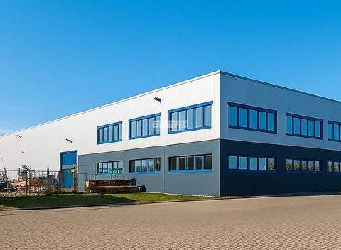 Erfurt Halle, Erfurt Hallenfläche