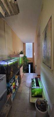 Hausflur/Eingangsbereich 