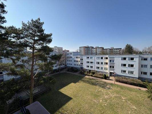 gepflegte Außenanlagen