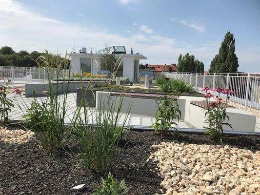 allgemeiner Dachgarten