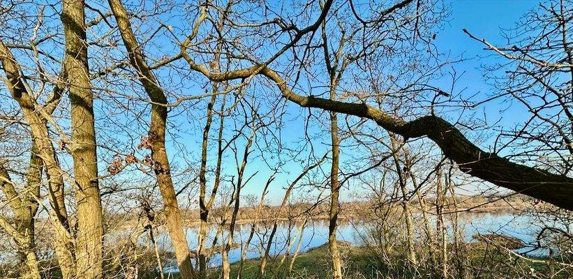 Herrliche Sparzierwege oberhalb der Elbe bei Langendorf