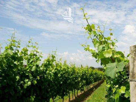 Leifers Grundstücke, Leifers Grundstück kaufen