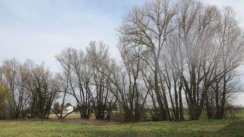 Ingolstadt Renditeobjekte, Mehrfamilienhäuser, Geschäftshäuser, Kapitalanlage
