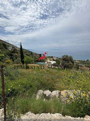 WhatsApp Image 2025-05-11 at 11.26.59-4.jpeg