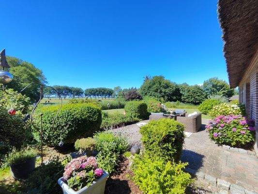 36b) IMG_20250701_103158 (1).jpg