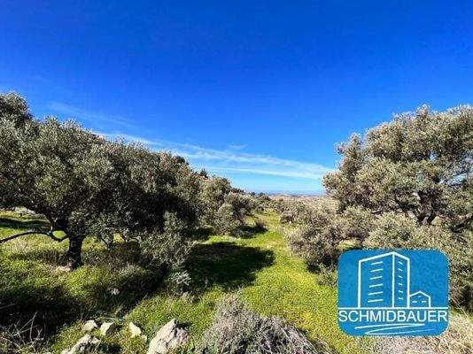 Kreta, Kamilari: Grundstück in traumhafter Lage mit Meer- und Bergblick zu verkaufen