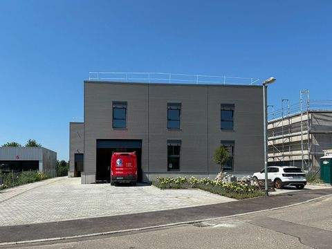 Reutlingen Büros, Büroräume, Büroflächen 