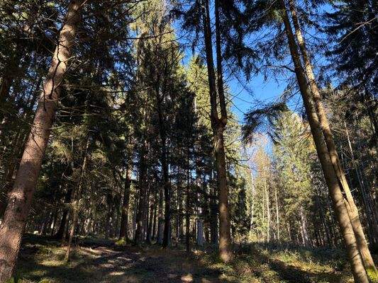 2025-11-05 13.11.44.jpg