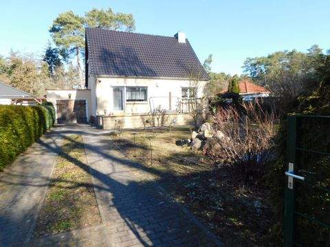 Borkheide Häuser, Borkheide Haus kaufen