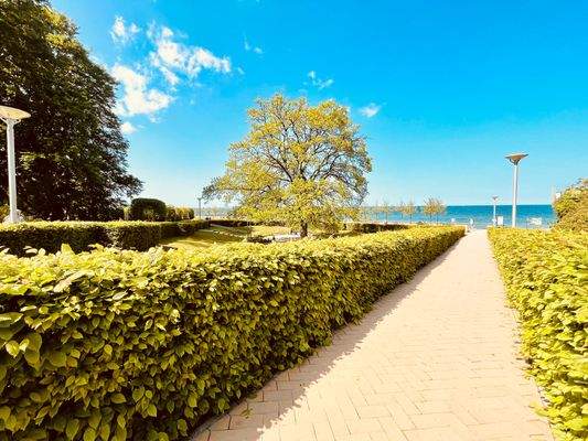 Weg zur Promenade.jpeg