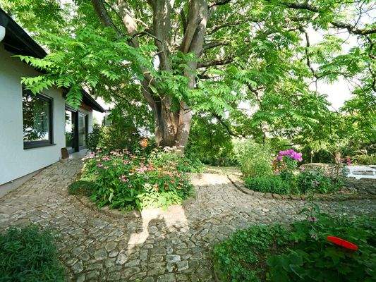 auf der Südterrasse