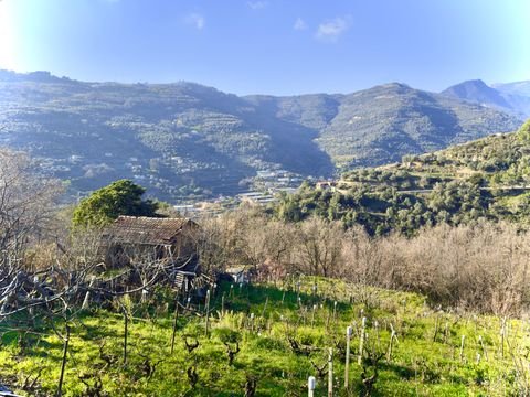Dolceacqua Grundstücke, Dolceacqua Grundstück kaufen