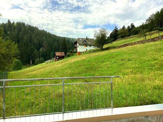 Landblick rechts von der Terrasse