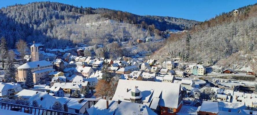 Auch im Winter bietet sich ein wunderbarer Ausblick von der Terrasse und den Aufenthaltsräumen der Wohnung